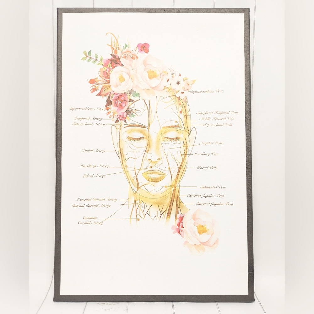 Female Facial Artery/Vein Art Canvas